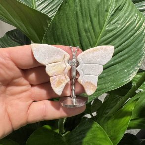 Pink opal sommerfugl st�ende p� fod