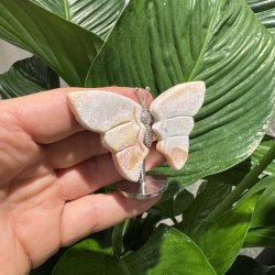 Pink opal sommerfugl st�ende p� fod