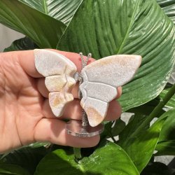 Pink opal sommerfugl st�ende p� fod