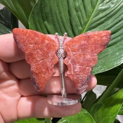 Hematoid kvarts sommerfugl st�ende p� fod