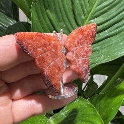 Hematoid kvarts sommerfugl st�ende p� fod