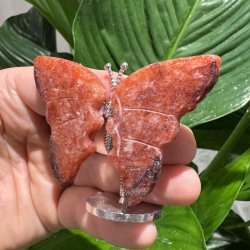 Hematoid kvarts sommerfugl st�ende p� fod