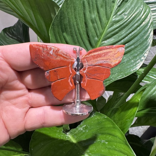 R�d jaspis sommerfugl st�ende p� fod