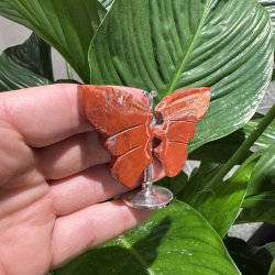 R�d jaspis sommerfugl st�ende p� fod