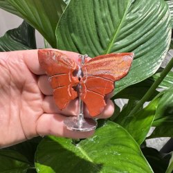 R�d jaspis sommerfugl st�ende p� fod