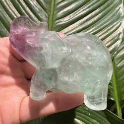 Fluorit elefant 66mm