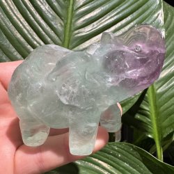 Fluorit elefant 66mm