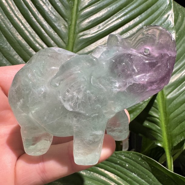 Fluorit elefant 66mm