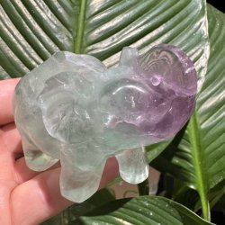 Fluorit elefant 66mm