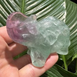 Fluorit elefant 66mm