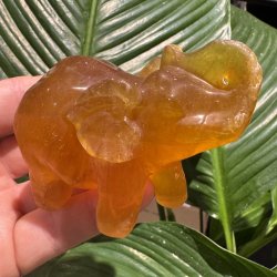 Fluorit elefant 67mm