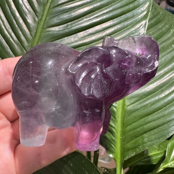 Fluorit elefant 66 mm
