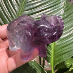 Fluorit elefant 66 mm