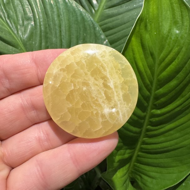Lemon calcit flad jumbo