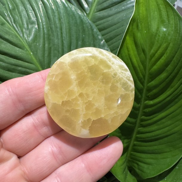 Lemon calcit flad jumbo