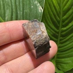 ciastolit mini freeform