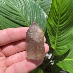 Sharma Dreamstone t�rn 2.sort