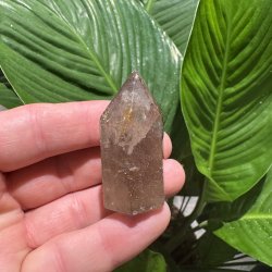 Sharma Dreamstone t�rn 2.sort
