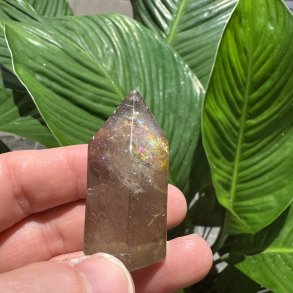 Sharma Dreamstone t�rn 2.sort