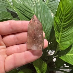 Sharma Dreamstone t�rn 2.sort