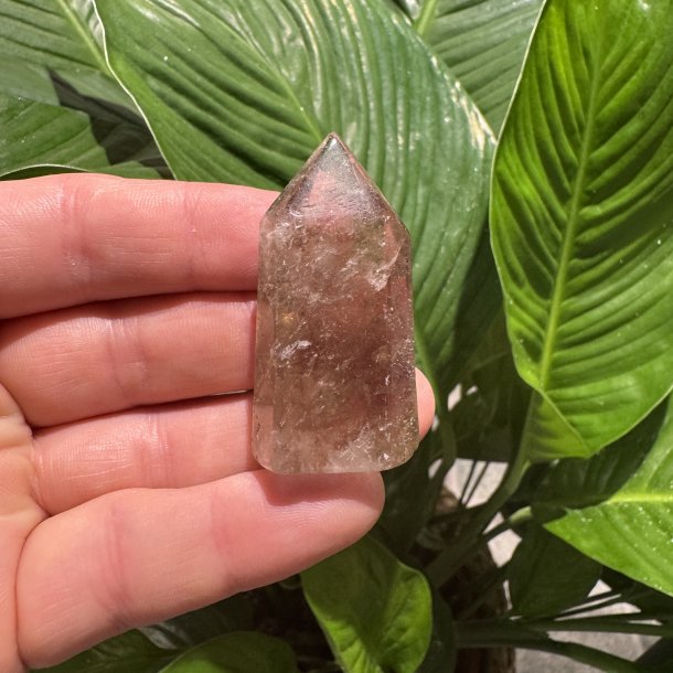 Sharma Dreamstone t�rn 2.sort