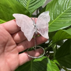 Rosenkvarts sommerfugl st�ende p� fod
