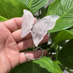 Rosenkvarts sommerfugl st�ende p� fod