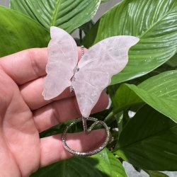 Rosenkvarts sommerfugl st�ende p� fod