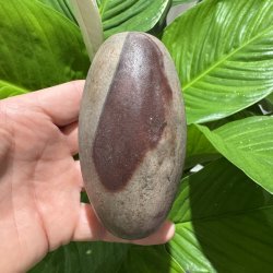 Shiva lingam