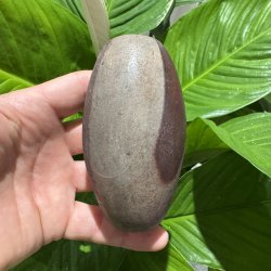 Shiva lingam