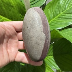 Shiva lingam
