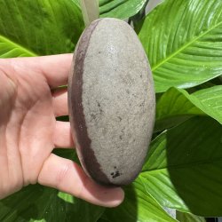 Shiva lingam