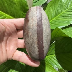 Shiva lingam
