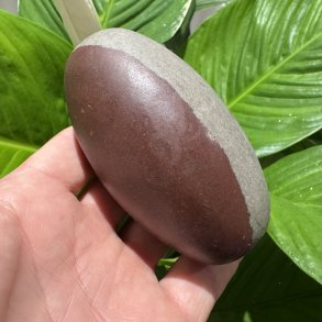 Shiva lingam