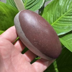 Shiva lingam