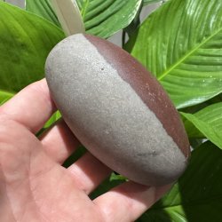 Shiva lingam