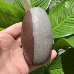 Shiva lingam
