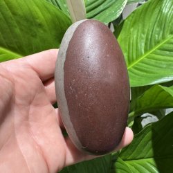 Shiva lingam
