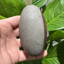 Shiva lingam