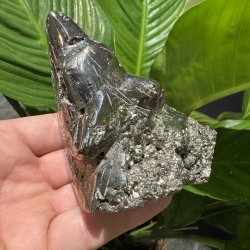 Pyrit ulvehoved