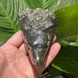 Pyrit ulvehoved