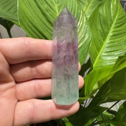 Vandmelon fluorit t�rn 87mm