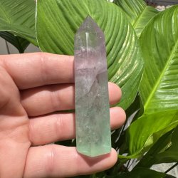 Vandmelon fluorit t�rn 88mm