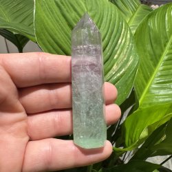 Vandmelon fluorit t�rn 88mm