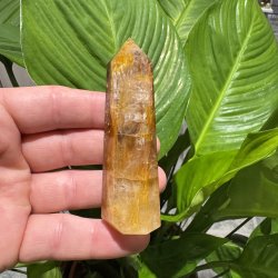 Golden healer t�rn 91 mm