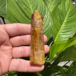 Golden healer t�rn 91 mm