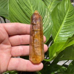 Golden healer t�rn 91 mm