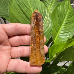 Golden healer t�rn 91 mm