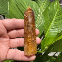 Golden healer t�rn 91 mm