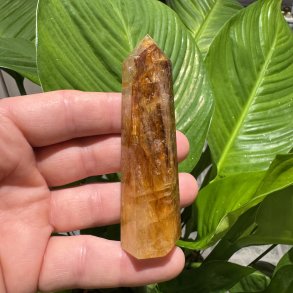 Golden healer t�rn 91 mm